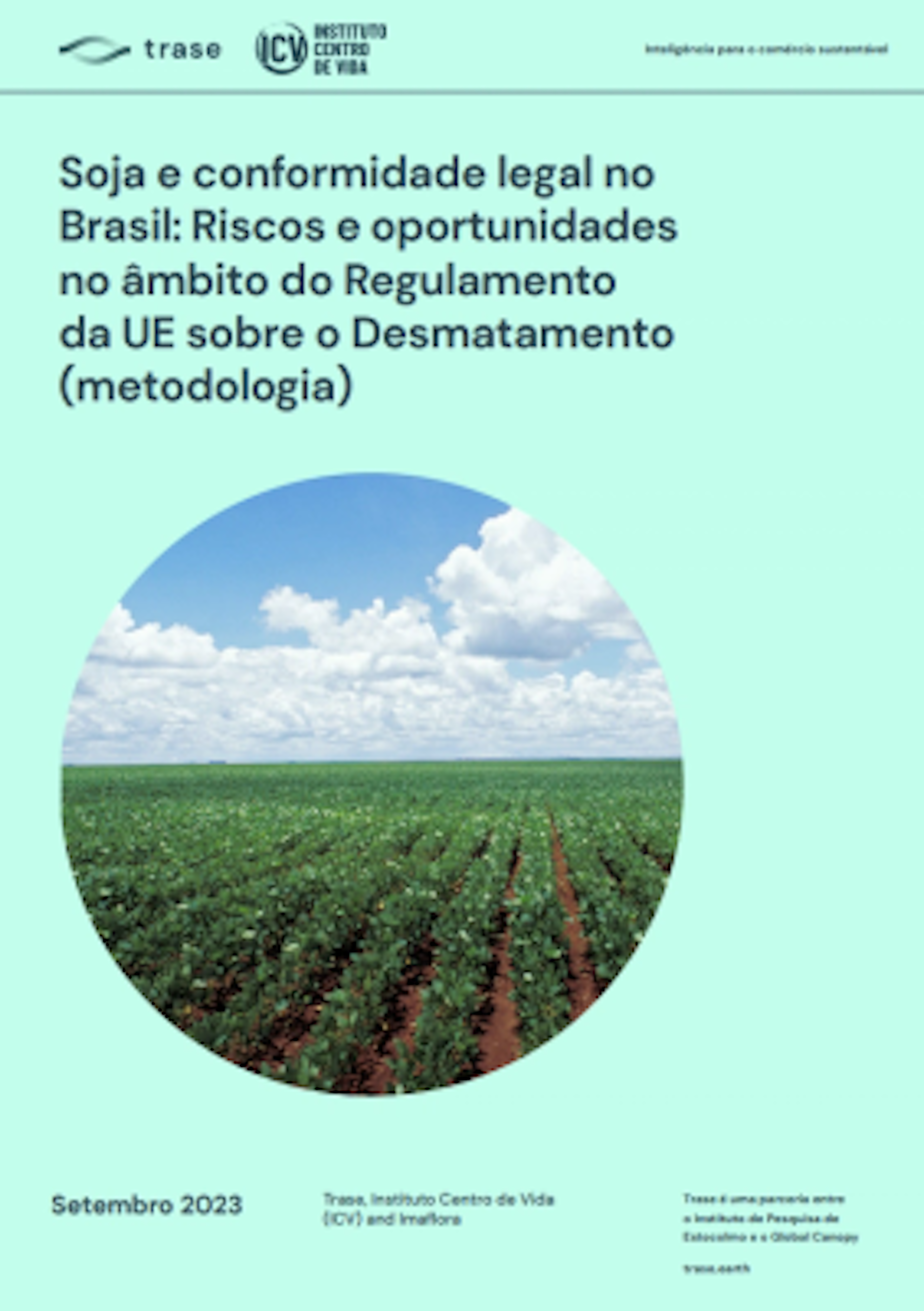 Soy field in Mato Grosso