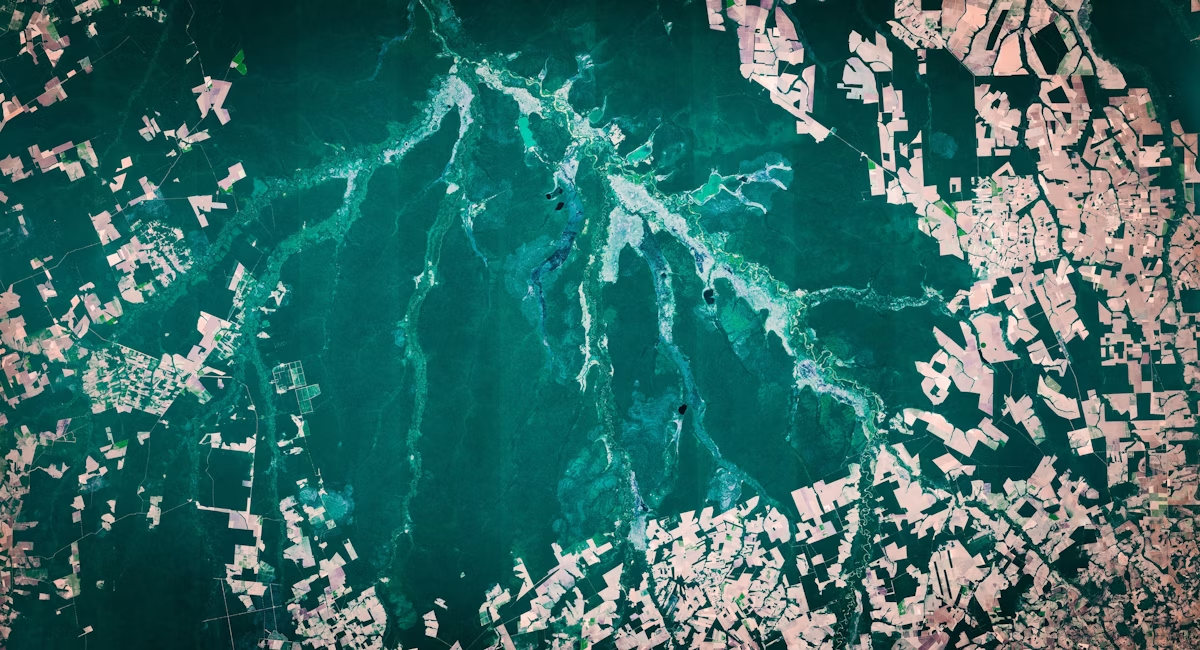 Satellite image of commodity fields