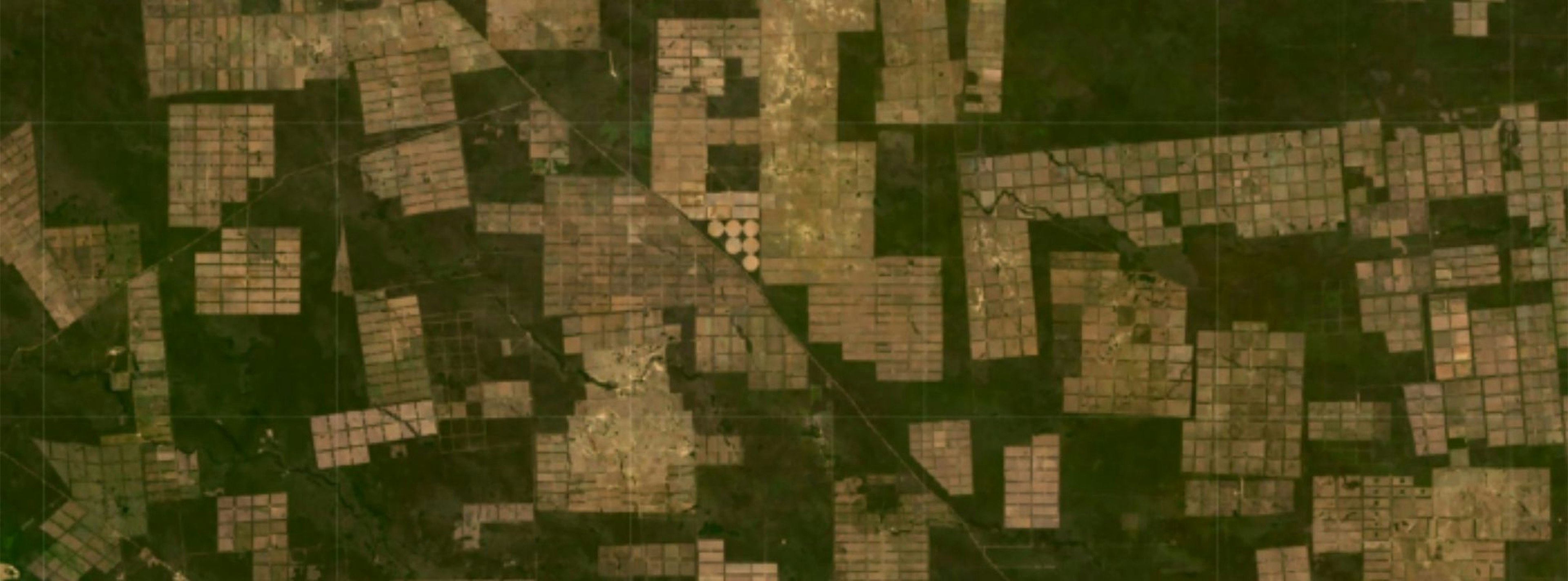 Satellite imagery of deforestation in the Chaco in Paraguay