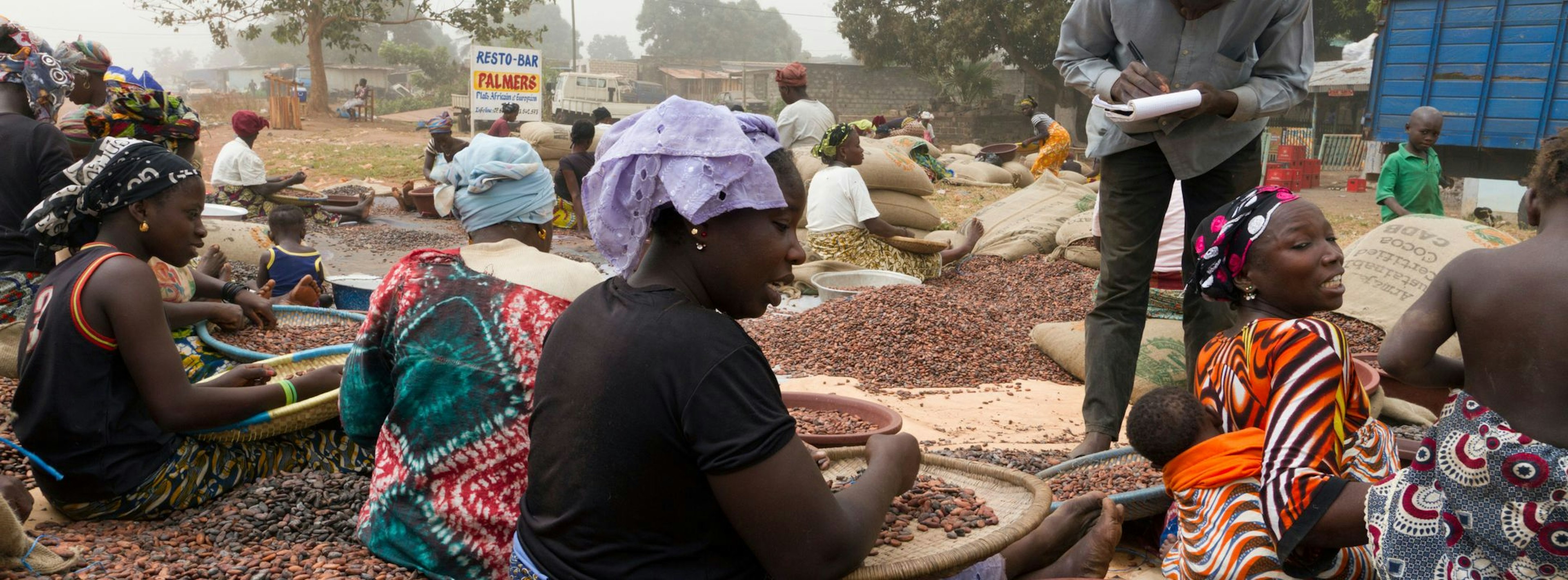 Chocolate companies face deforestation risks from unknown cocoa