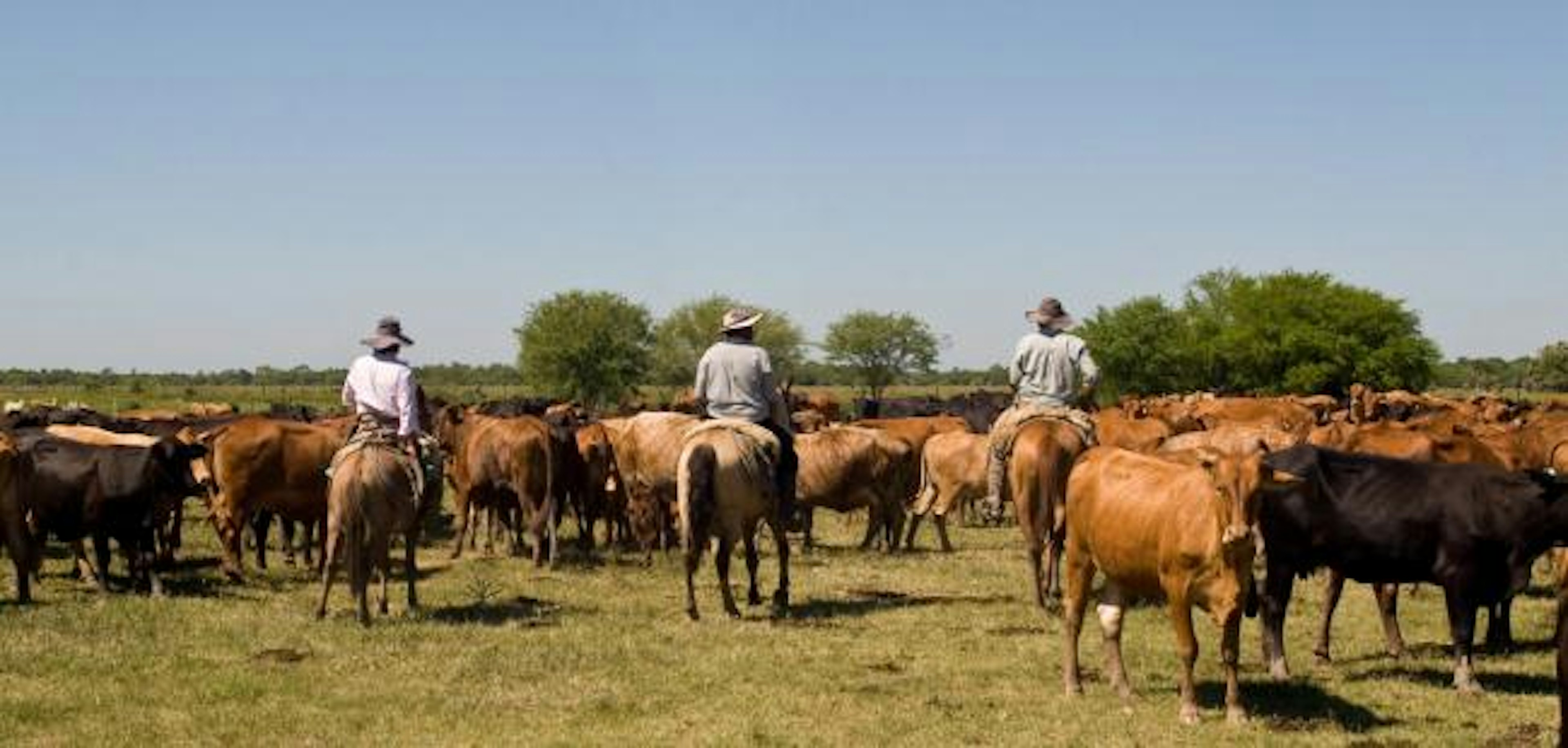 Gauchos in Paraguay