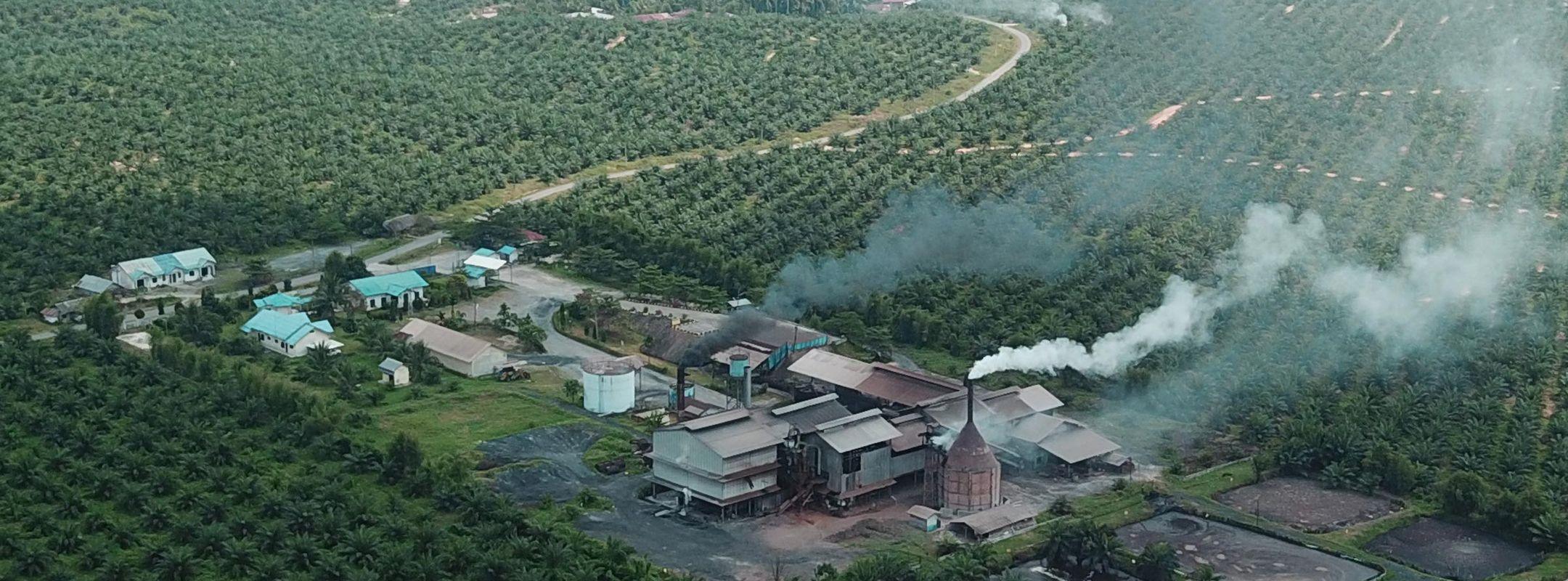 Palm oil mill in North Sumatra