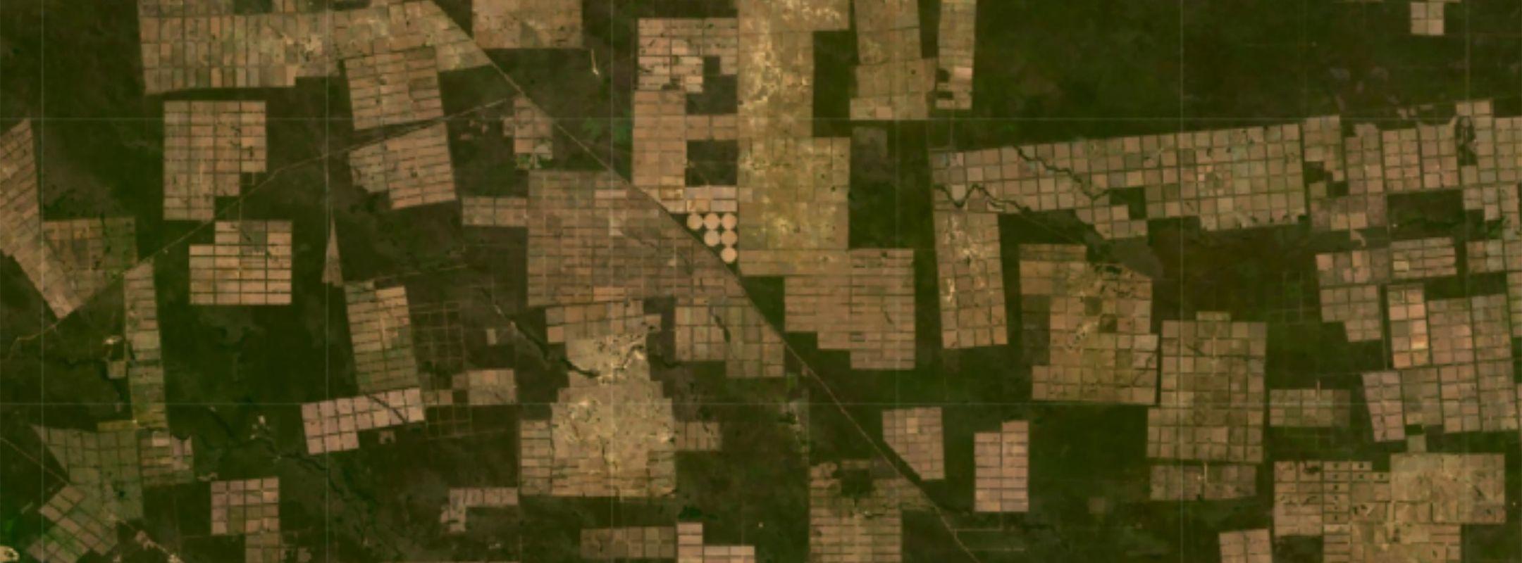 Satellite imagery of deforestation in the Chaco in Paraguay