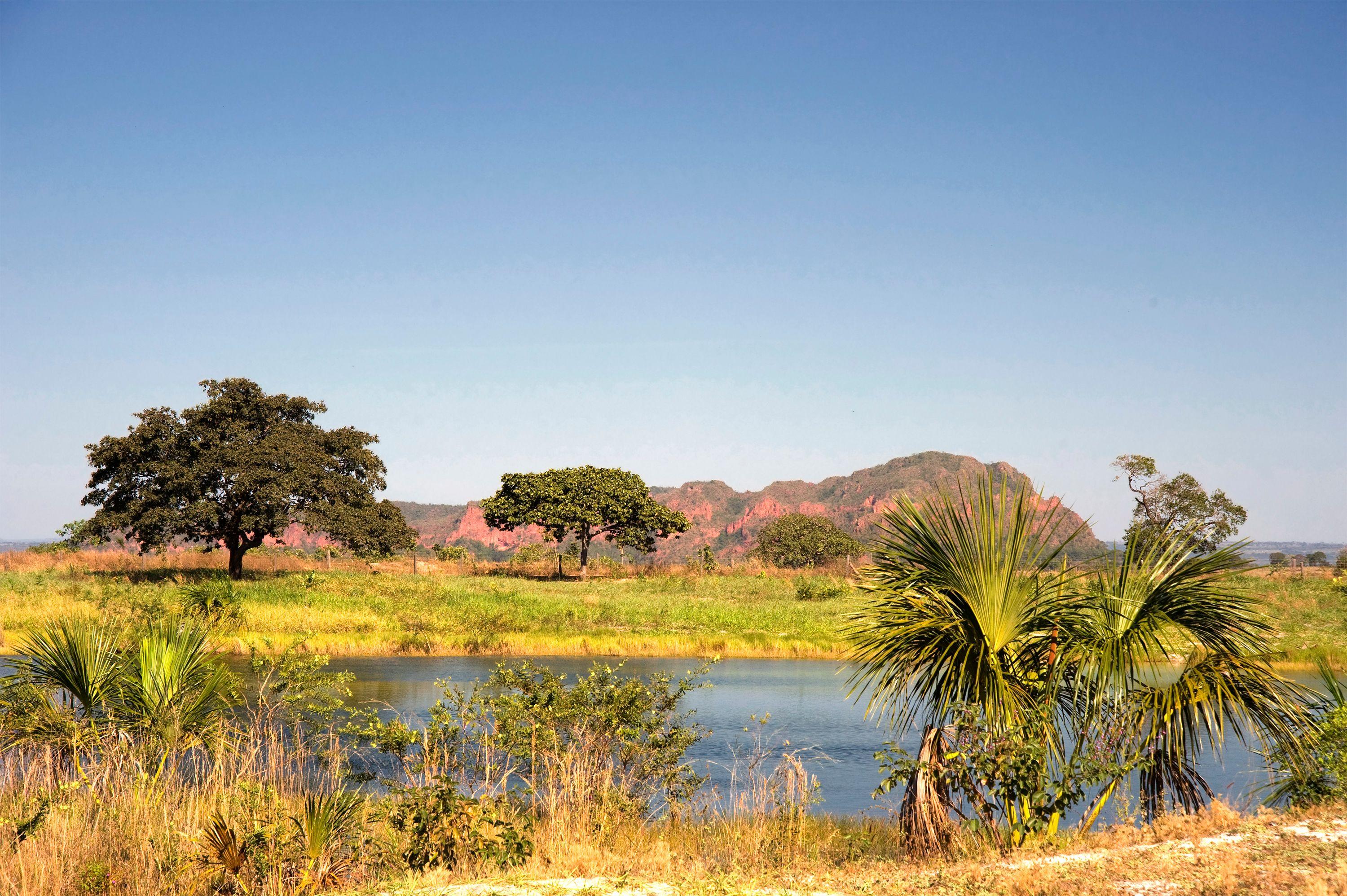 Illustration for Partners and donors