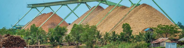 Wood chip factory on Mahakam riverbank with conveyor and stockpile, Indonesia