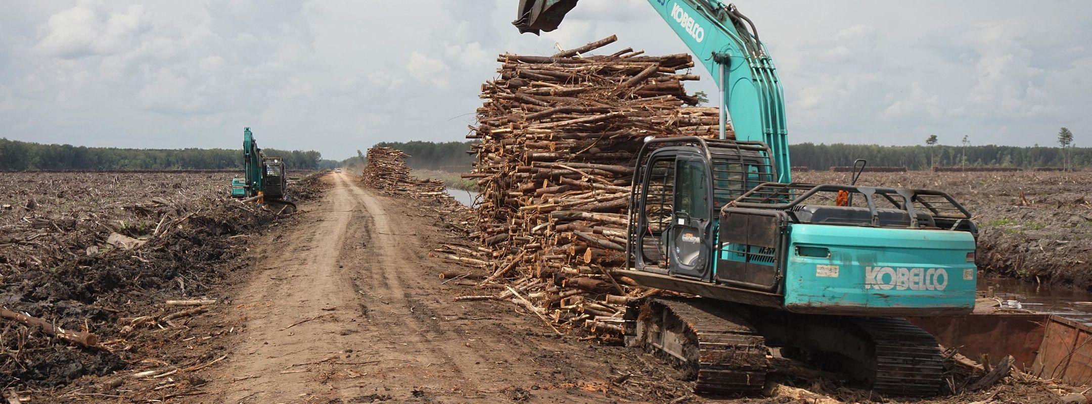 Deforestation in West Kalimantan
