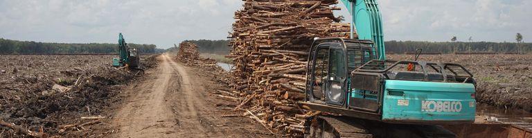 Deforestation in West Kalimantan