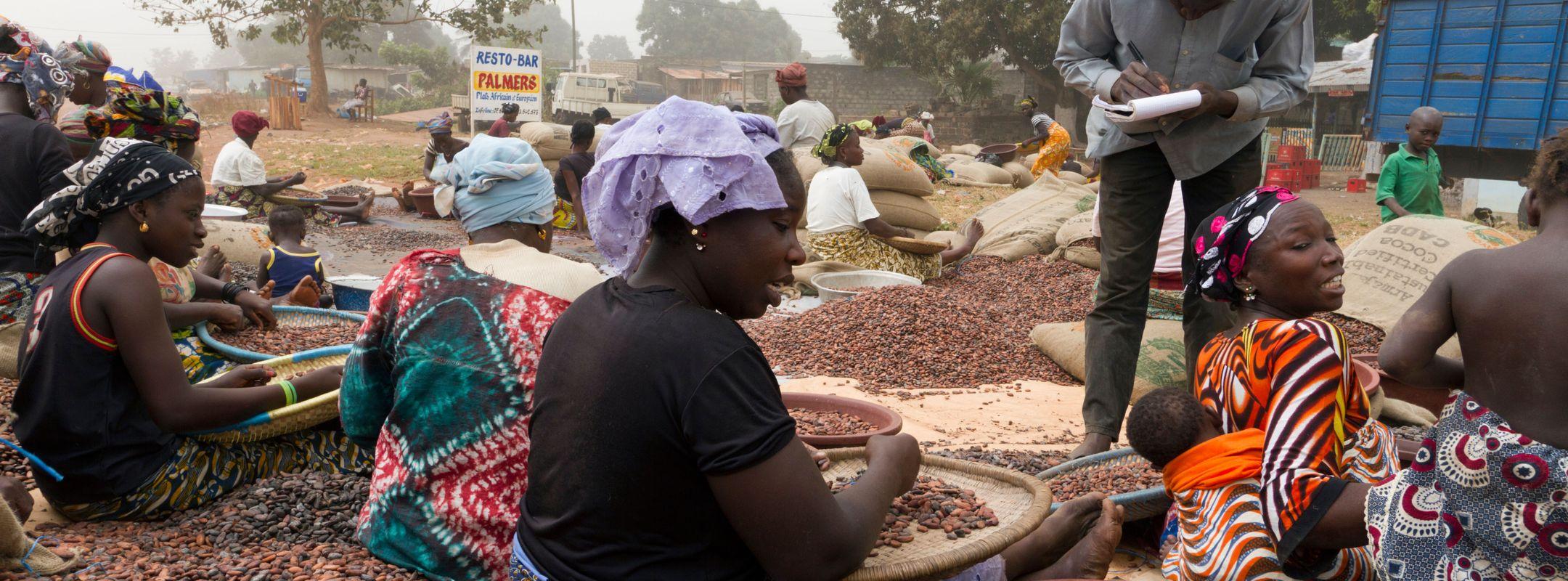 Cocoa farm workers in Côte d’Ivoire