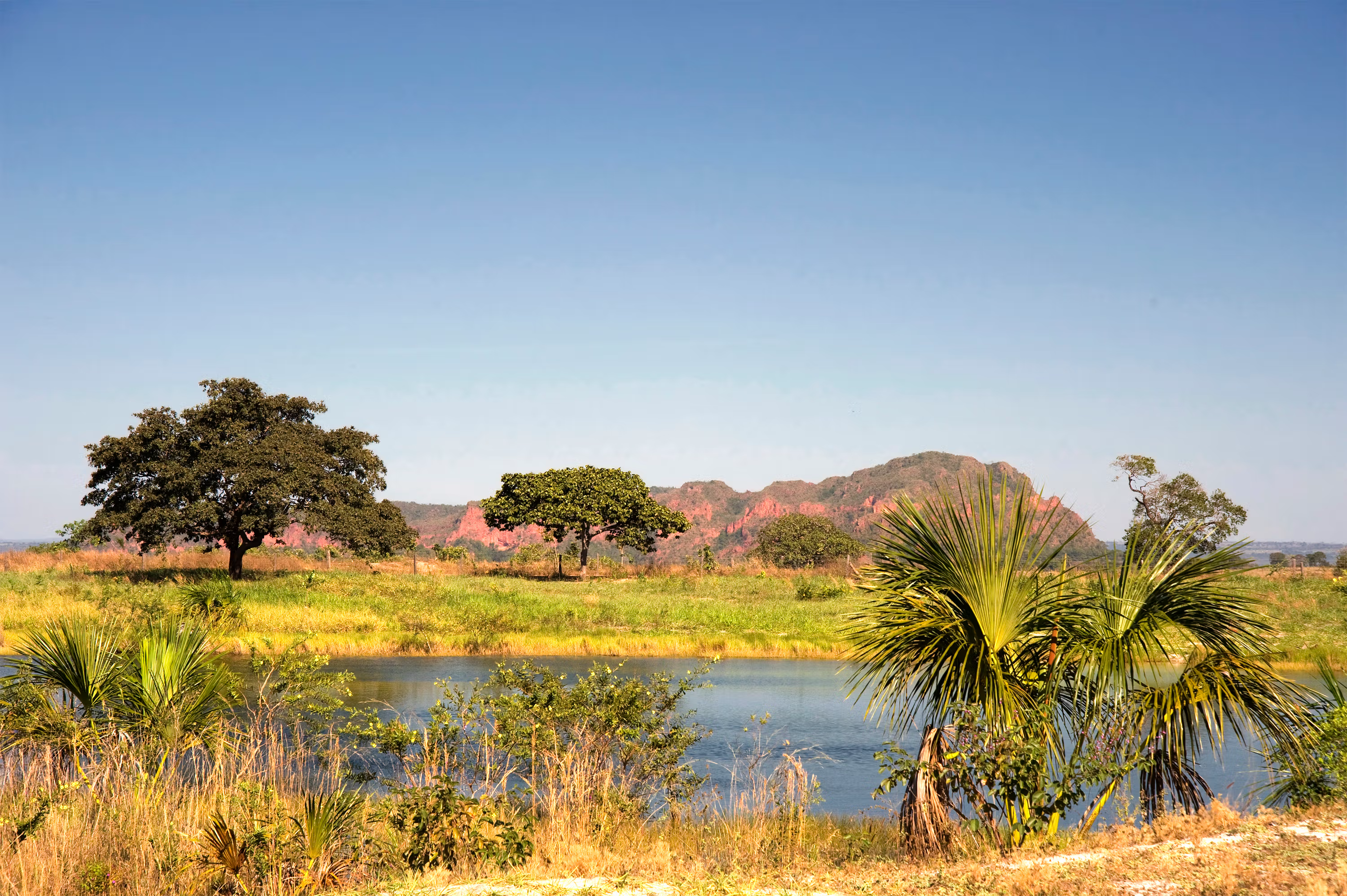 Illustration for Partners and funders