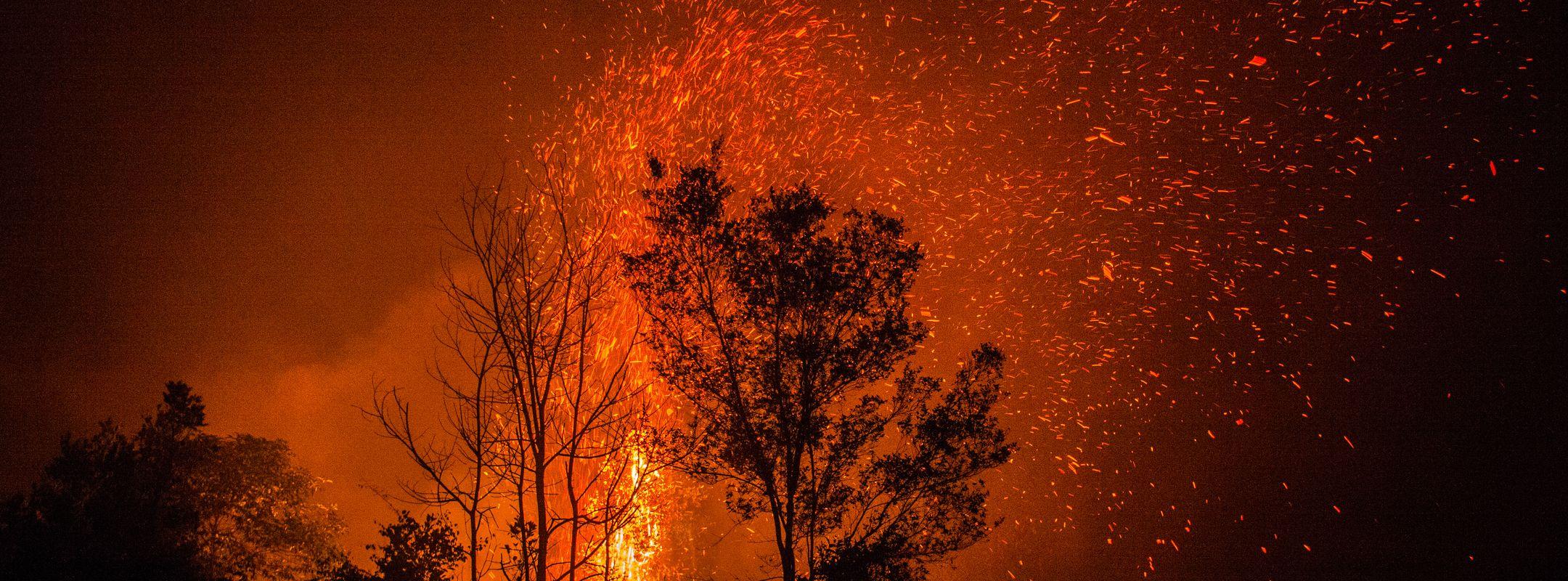 Forest Fires in Central Kalimantan
